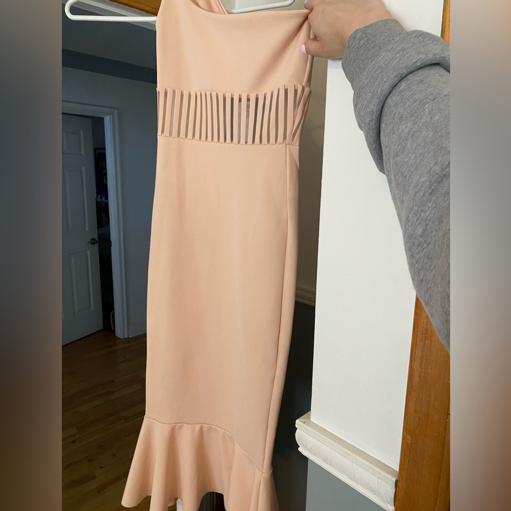 Beautiful mesh dress NWT